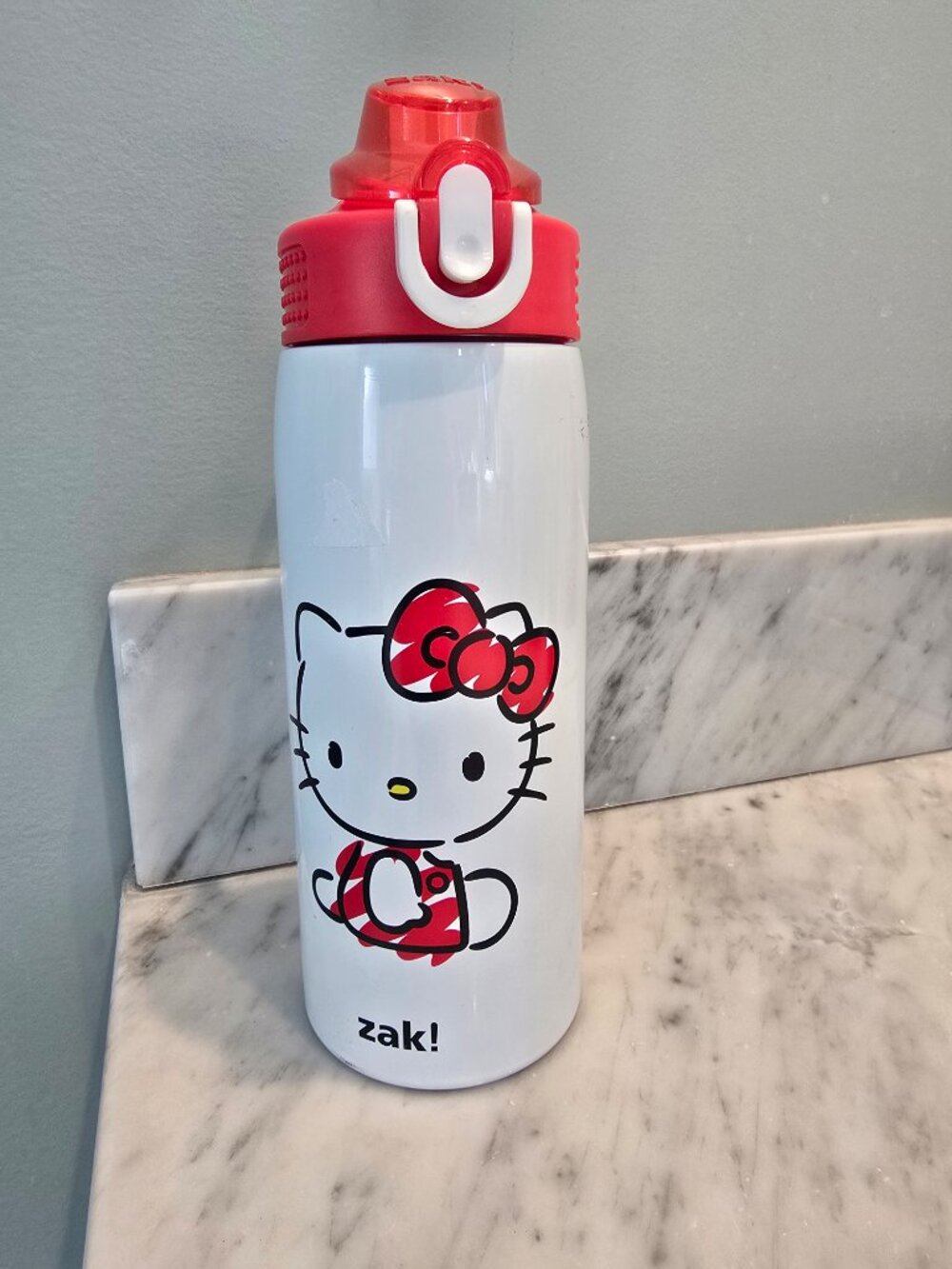 NWOT ZAK Hello Kitty Straw Stainless Steel Double Wall Vacuum 19 oz Bottle - Picture 2 of 6